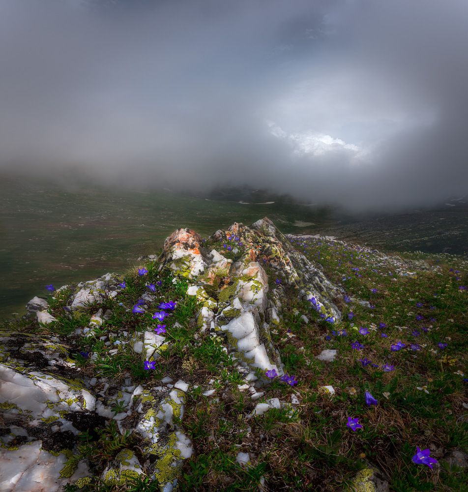 Photograph by Наргиза Кахарова