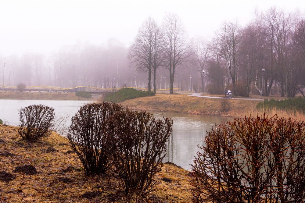 Городской парк