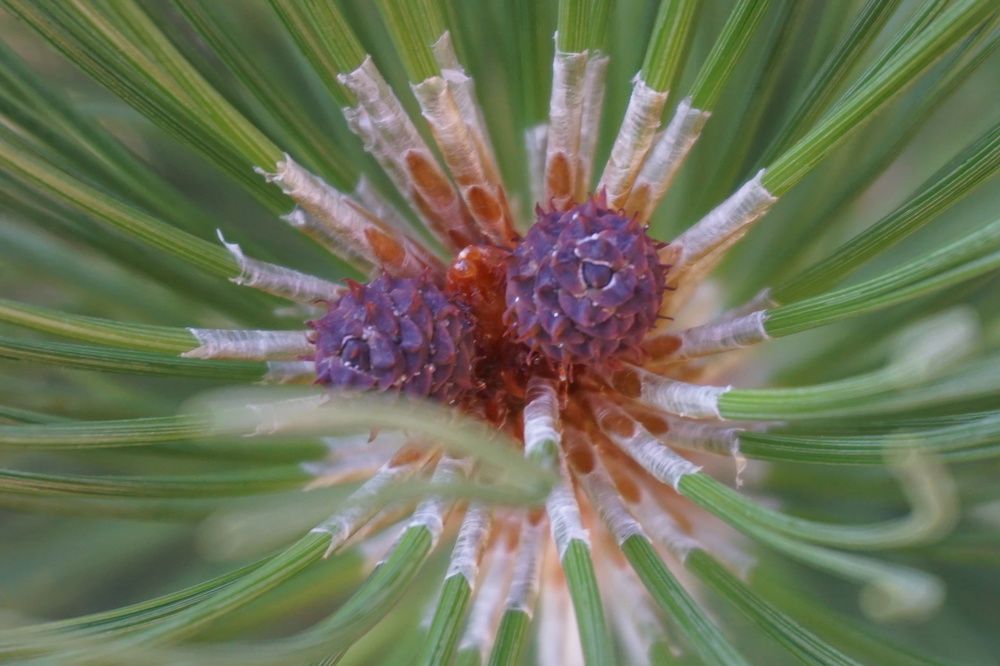 Photograph by Алфия Бугакова