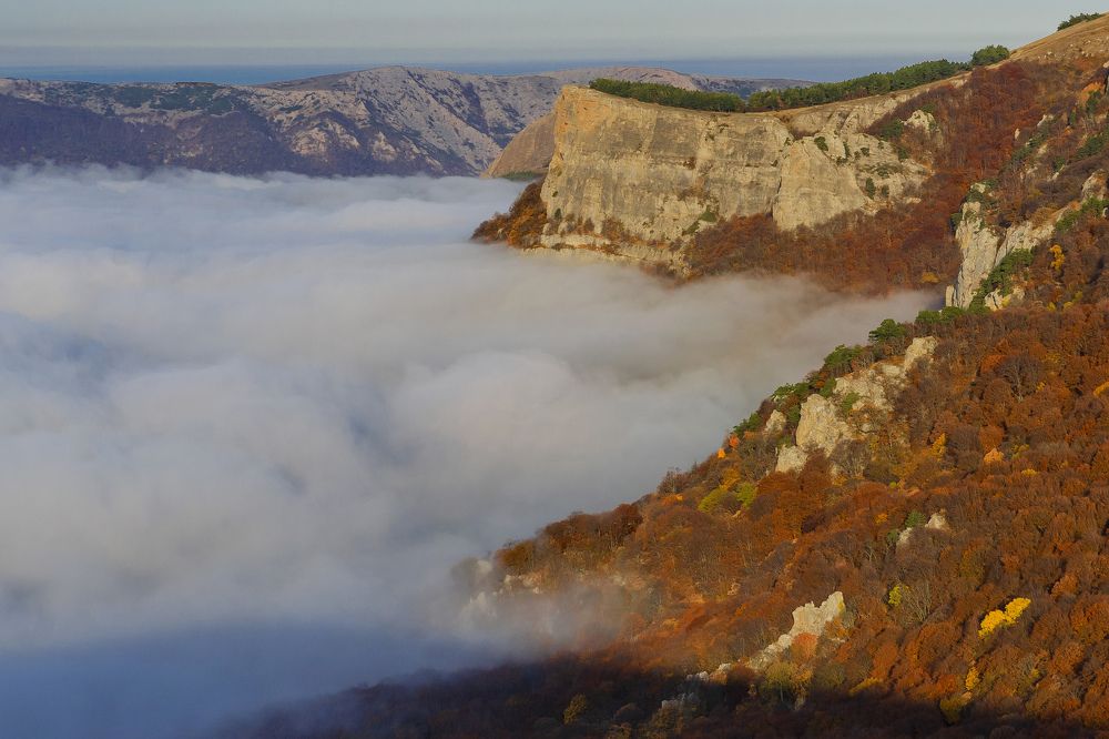 Photograph by Оксана Носкова