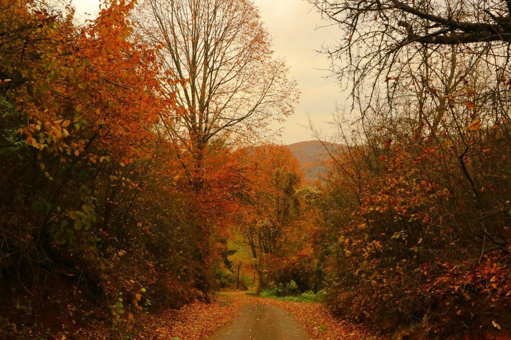 Photograph by Suncica Andrejevic