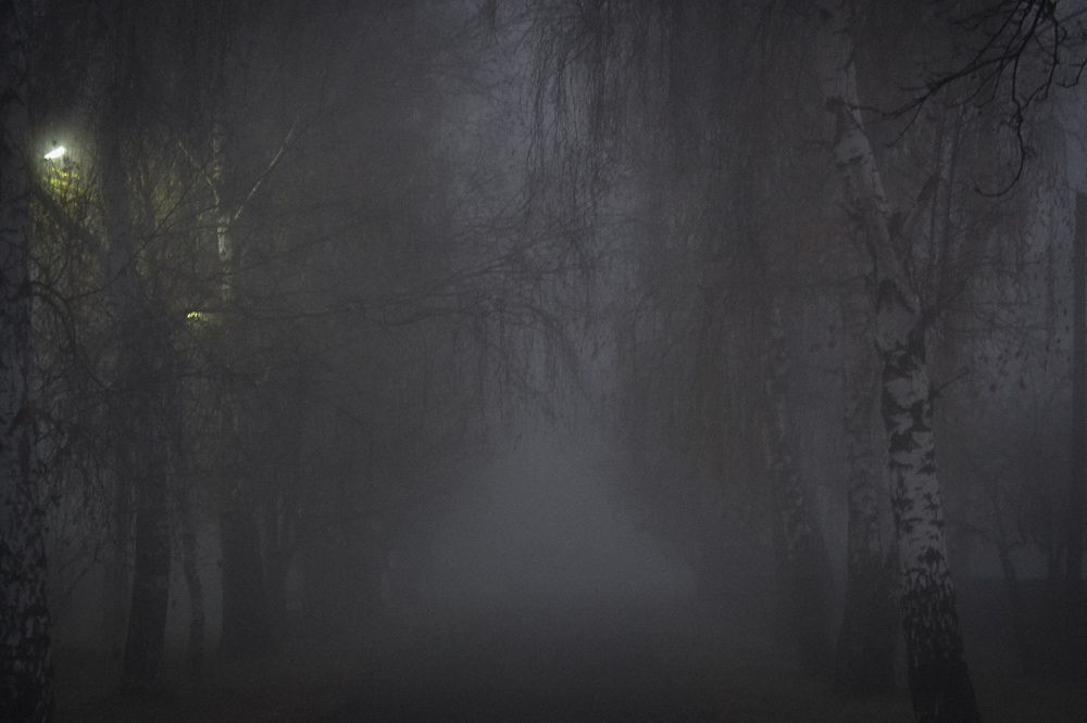 Photograph by Дарья Маркина