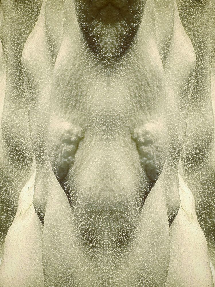 Фотография автора Remus Lucescu