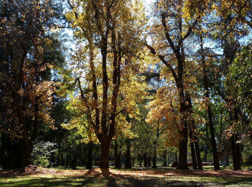 Photograph by Gleydda Gutierrez