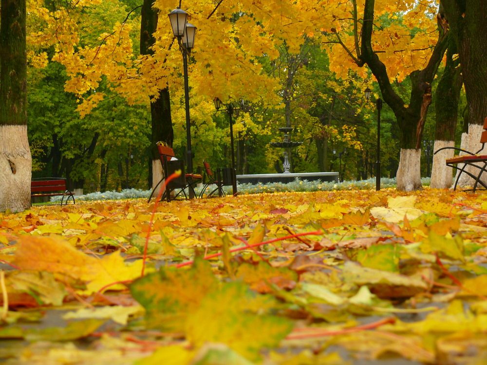 Осенняя дорожка.