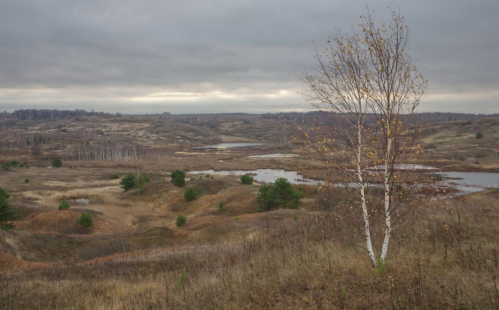 Photograph by савельев евгений