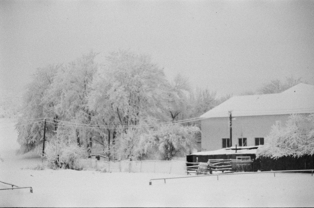 Photograph by Дмитрий Сосна