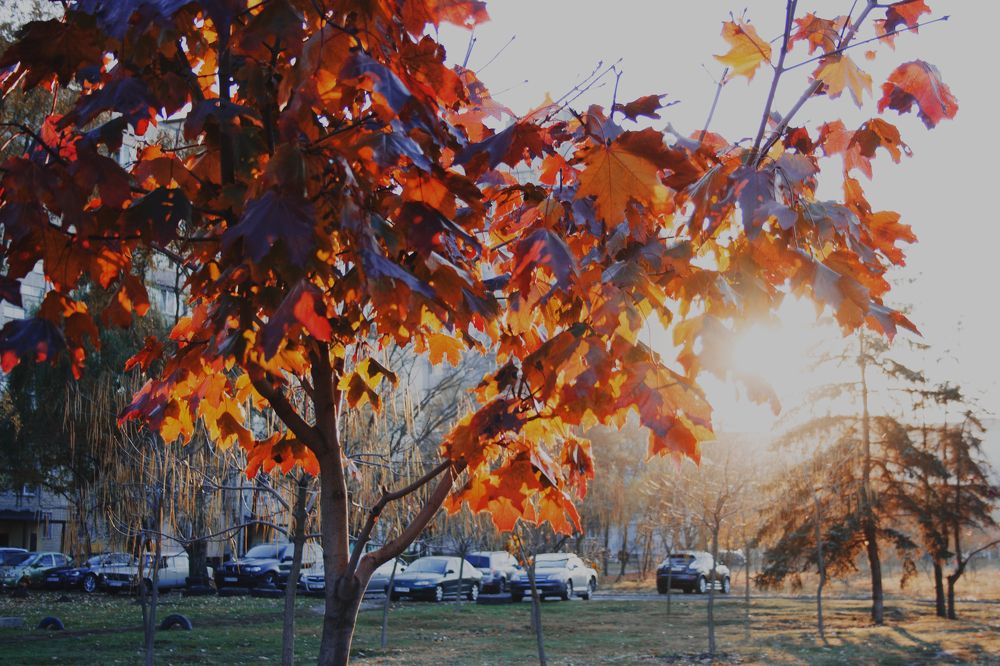 Photograph by Нелли