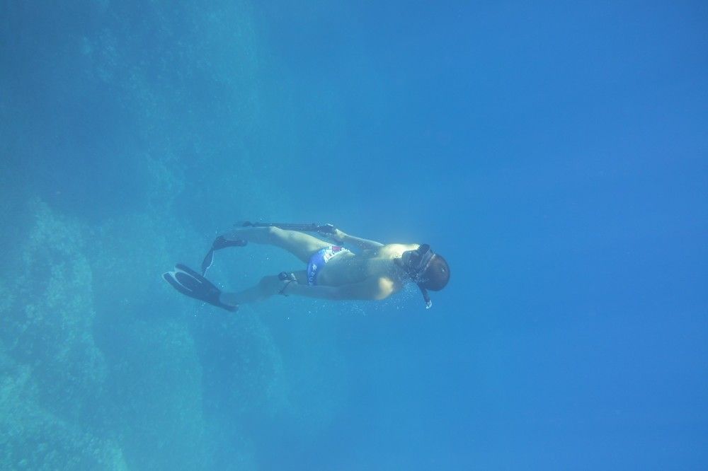 Фотография автора Ines Miljan Popovic