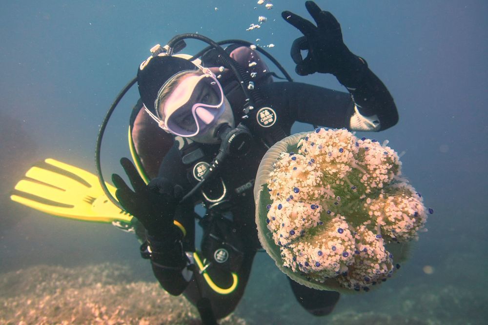 Фотография автора Ines Miljan Popovic