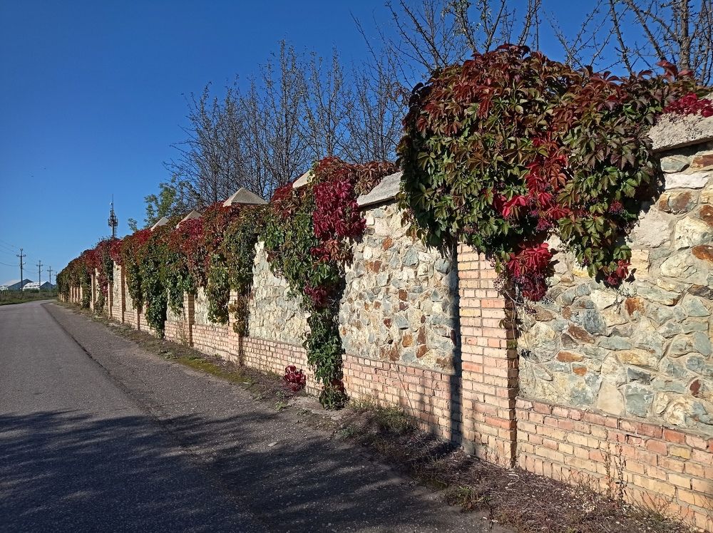 Photograph by Наталья Стальмакова