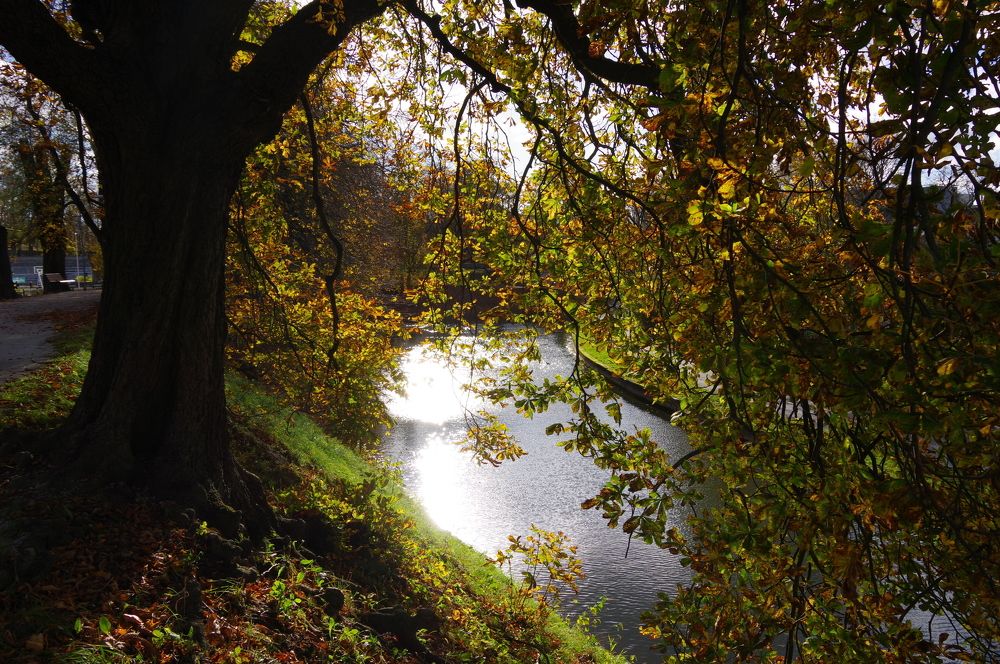 Photograph by Andrei Baburin