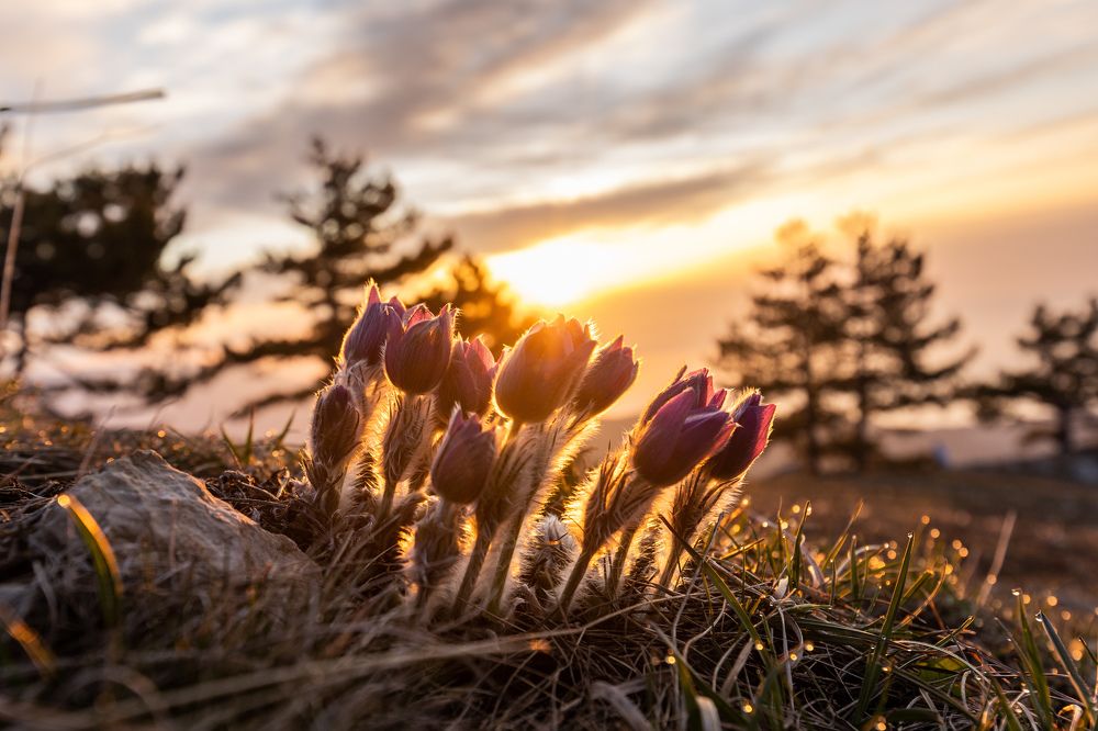 Photograph by Илья Юфа