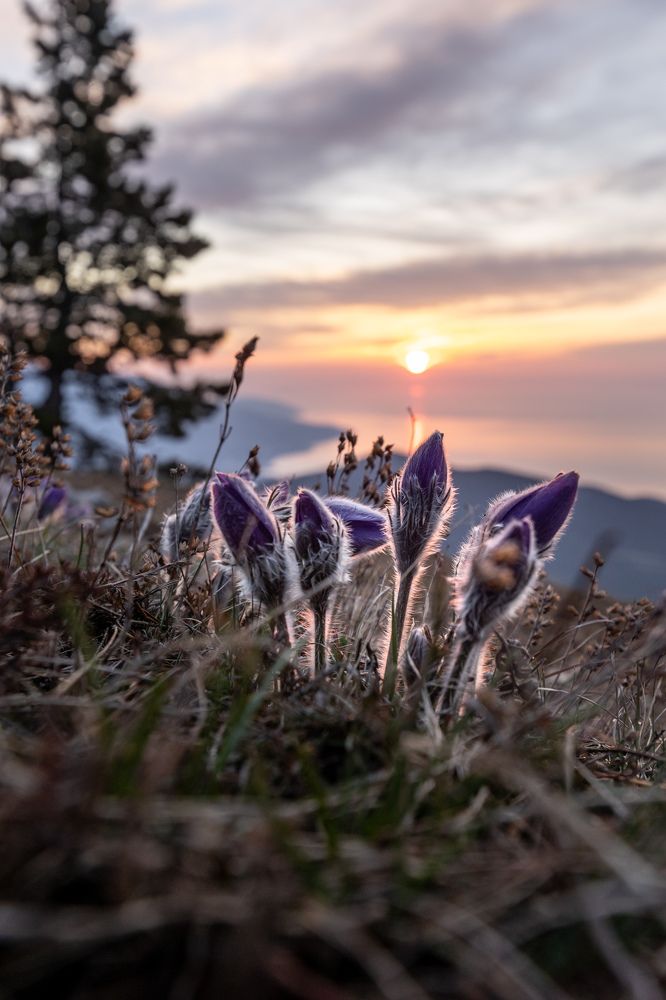 Photograph by Илья Юфа