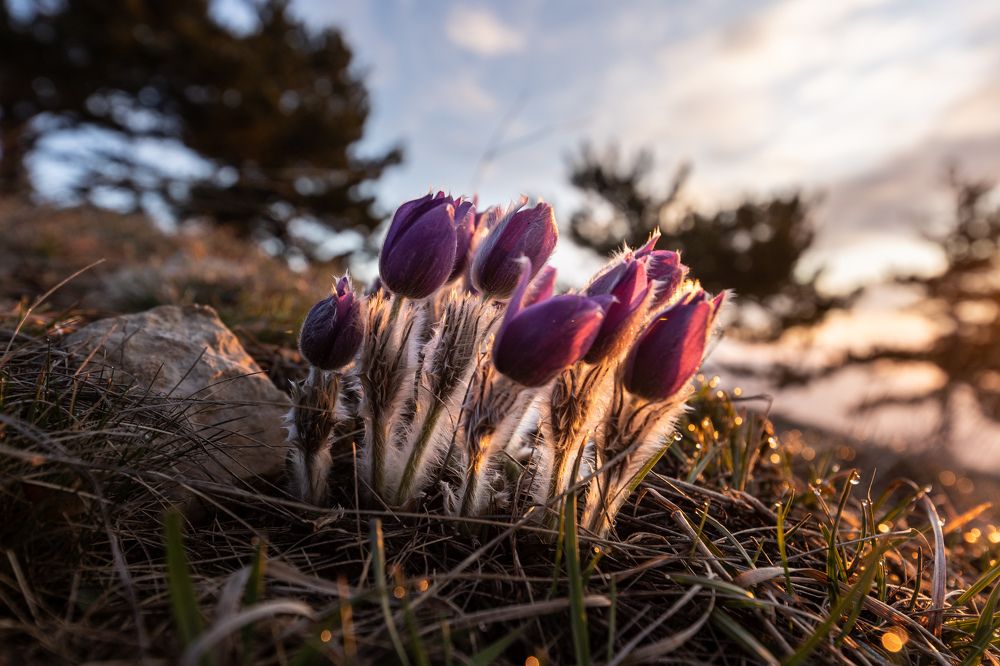 Photograph by Илья Юфа