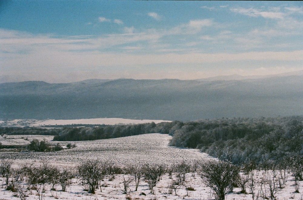 Photograph by Дмитрий Сосна