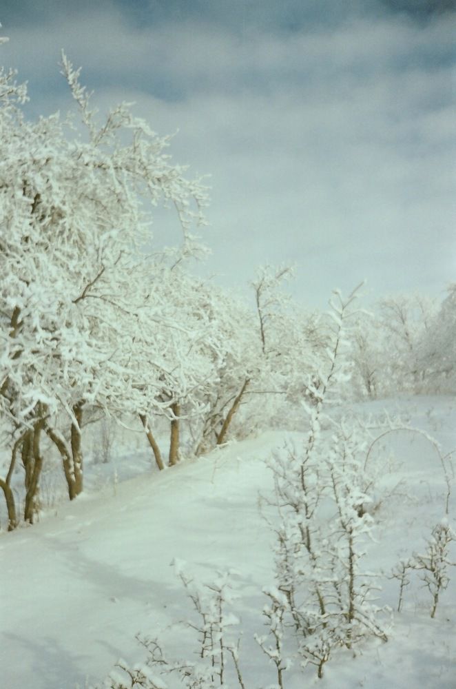 Photograph by Дмитрий Сосна