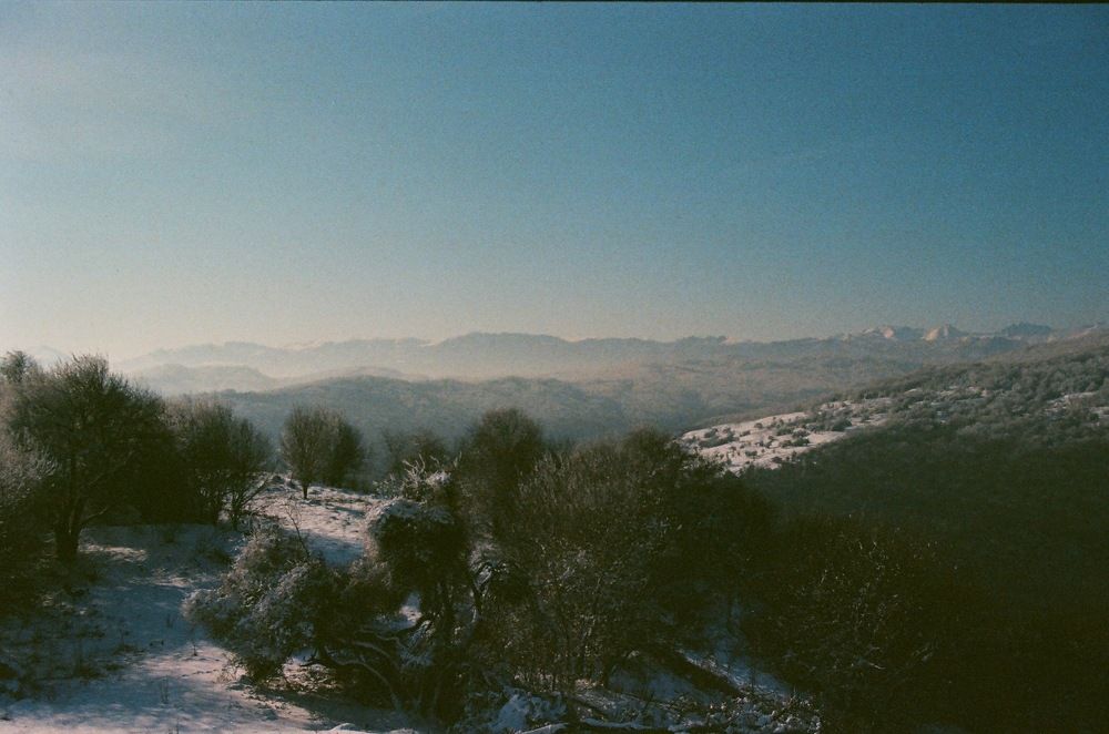 Photograph by Дмитрий Сосна