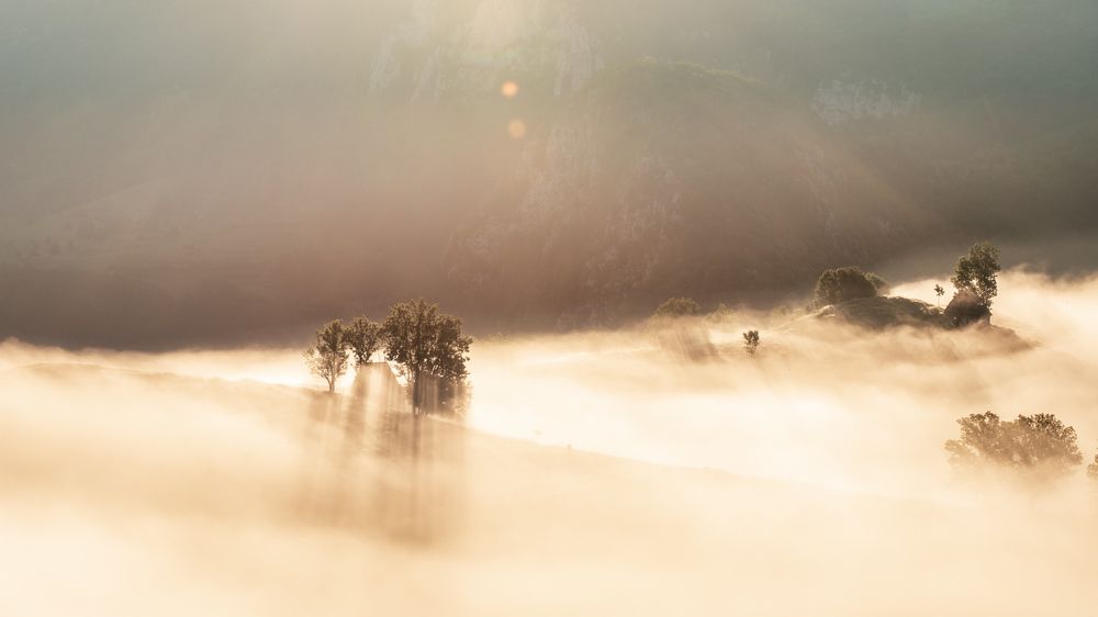 Фотография автора Valentina Mihalache