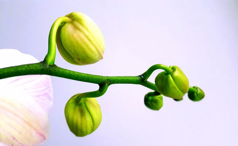 Photograph by Марина Василенко