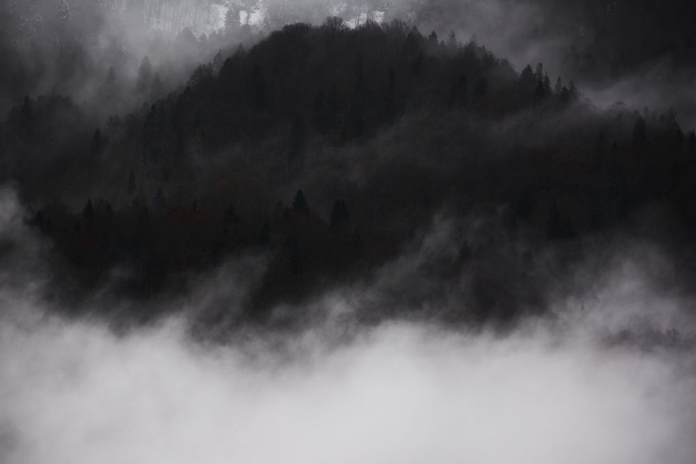 Photograph by  Мелсон