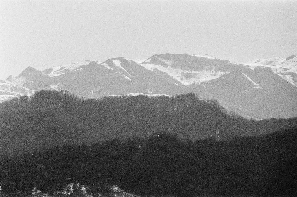 Photograph by Дмитрий Сосна