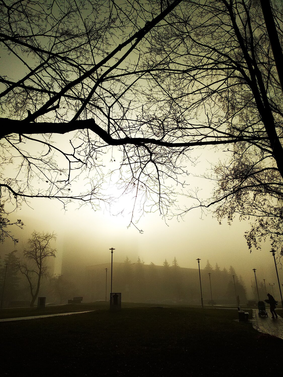 Photo #6704608