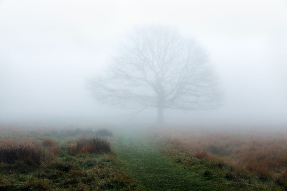 Фотография автора Оксана Мерзликина