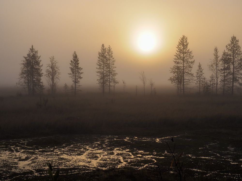 Photograph by Сергей Гаврилов