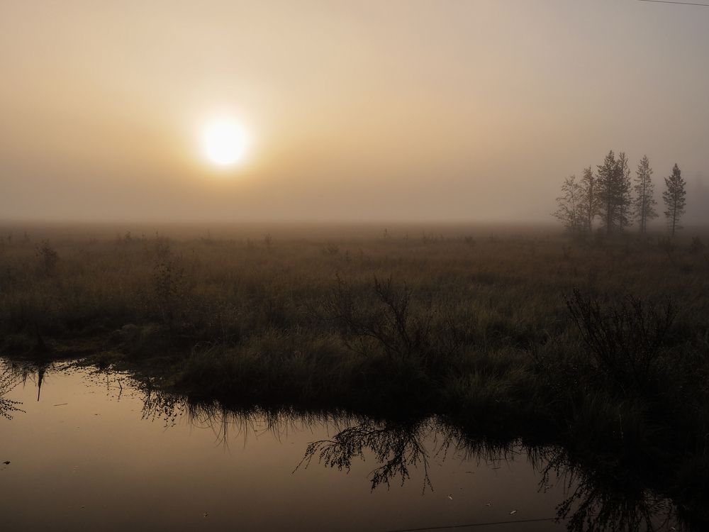 Photograph by Сергей Гаврилов