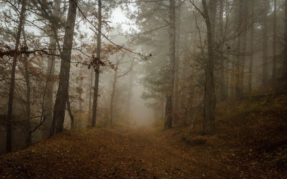 Photograph by Игорь Сидун