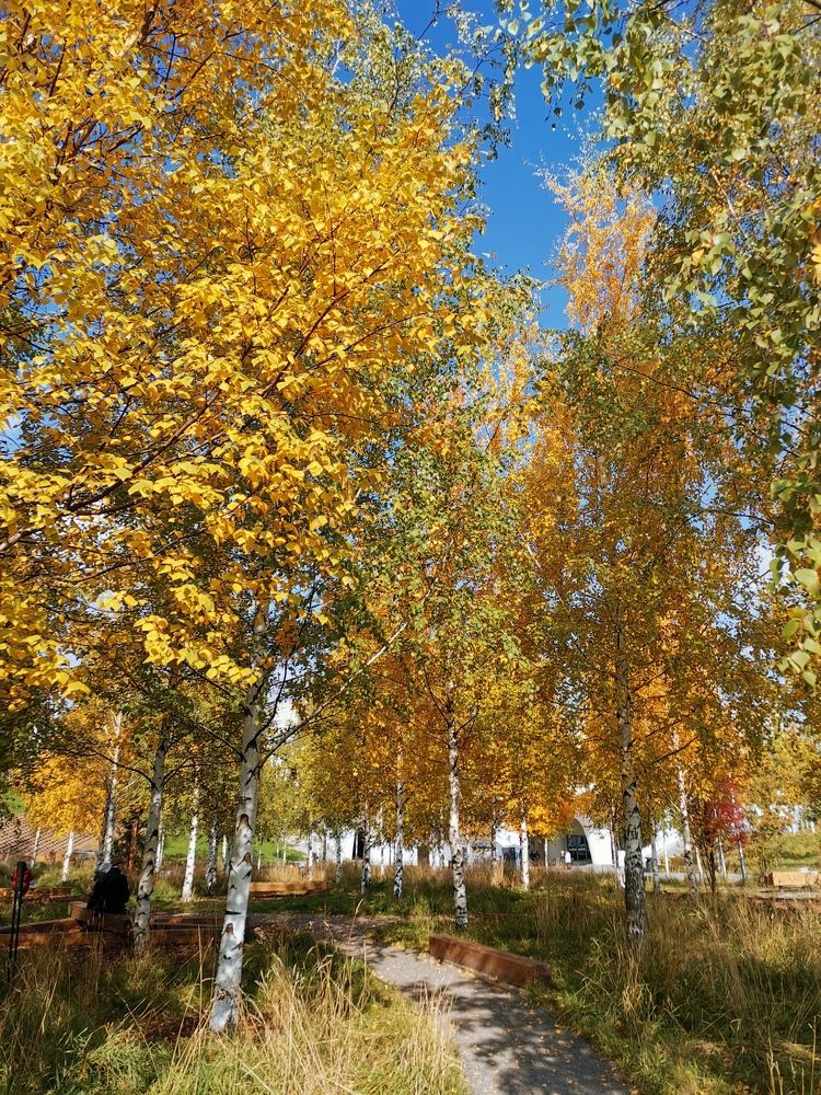 Photograph by Юрий Бирюков