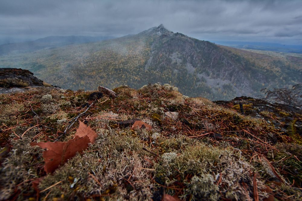 Photograph by  Мелсон