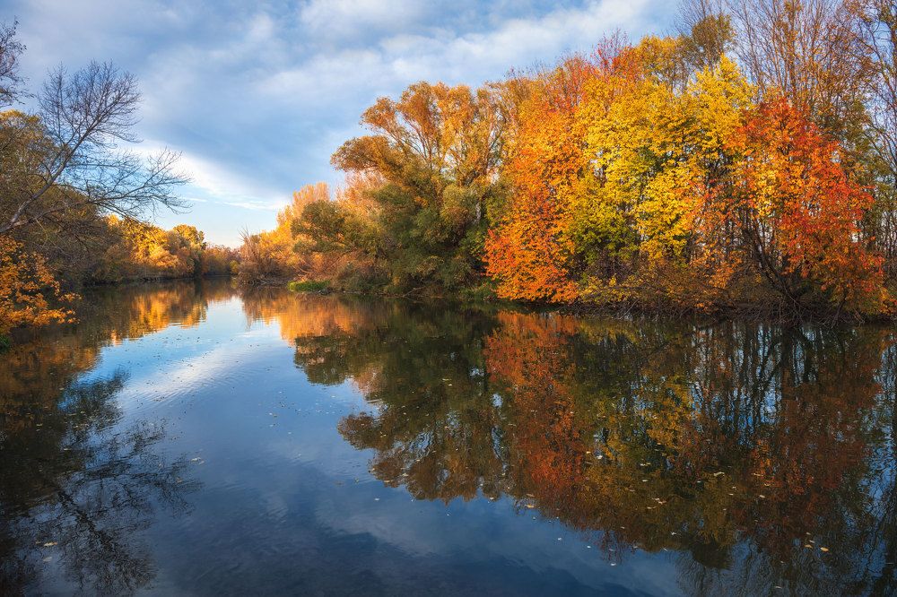 Photograph by Iris Lara