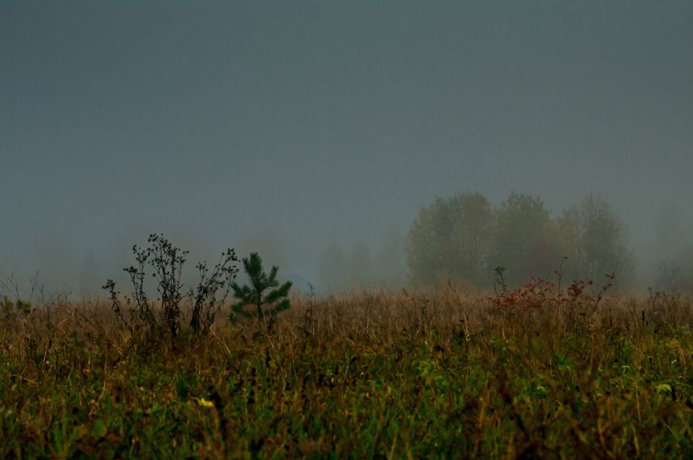 Photograph by Валентин Кузьмин