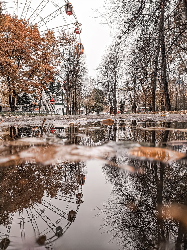 Photograph by Юлия