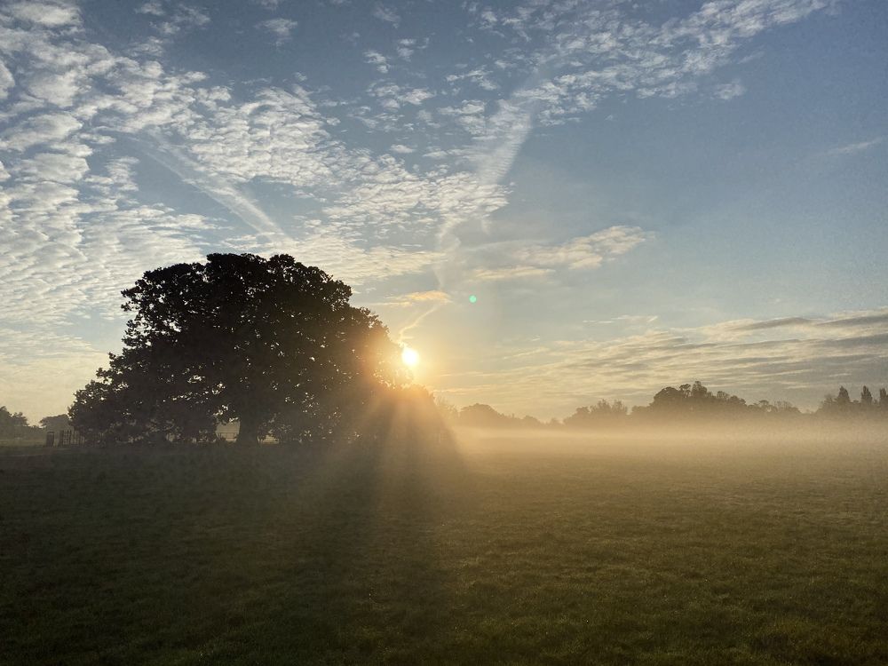 Фотография автора Natalja Bindere