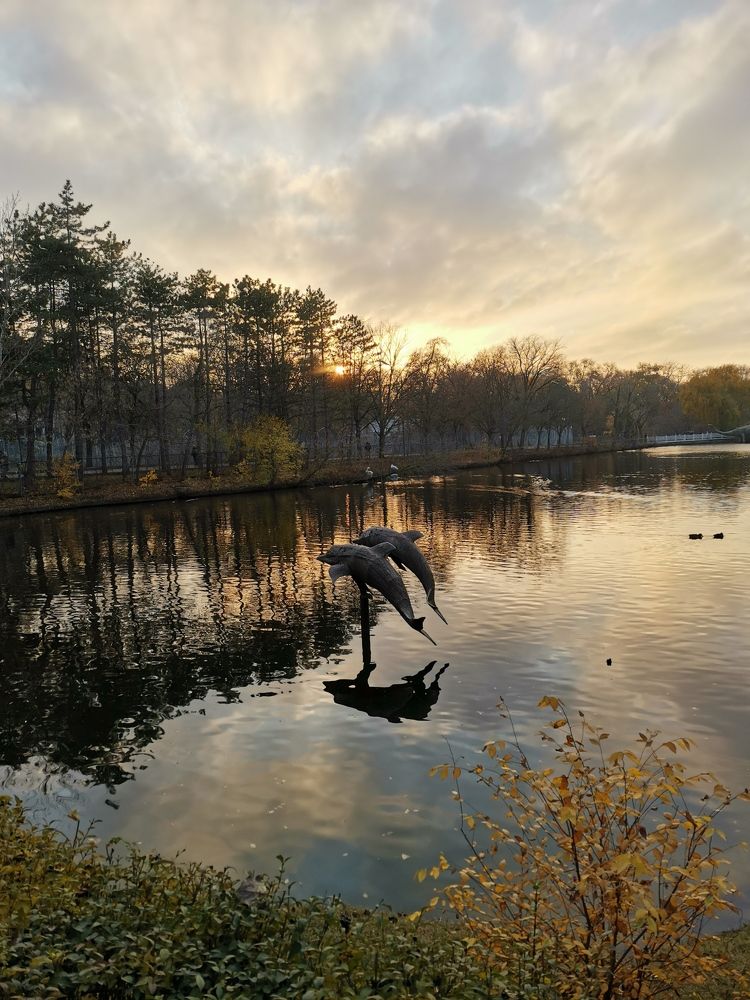 Photograph by Виталий