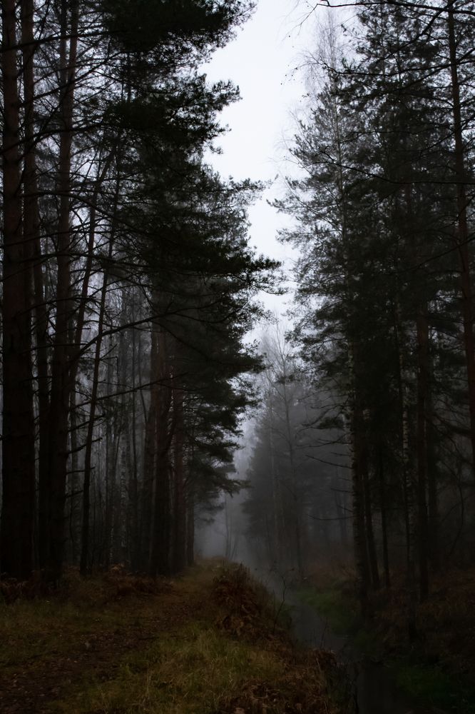 Photograph by Ализа TS