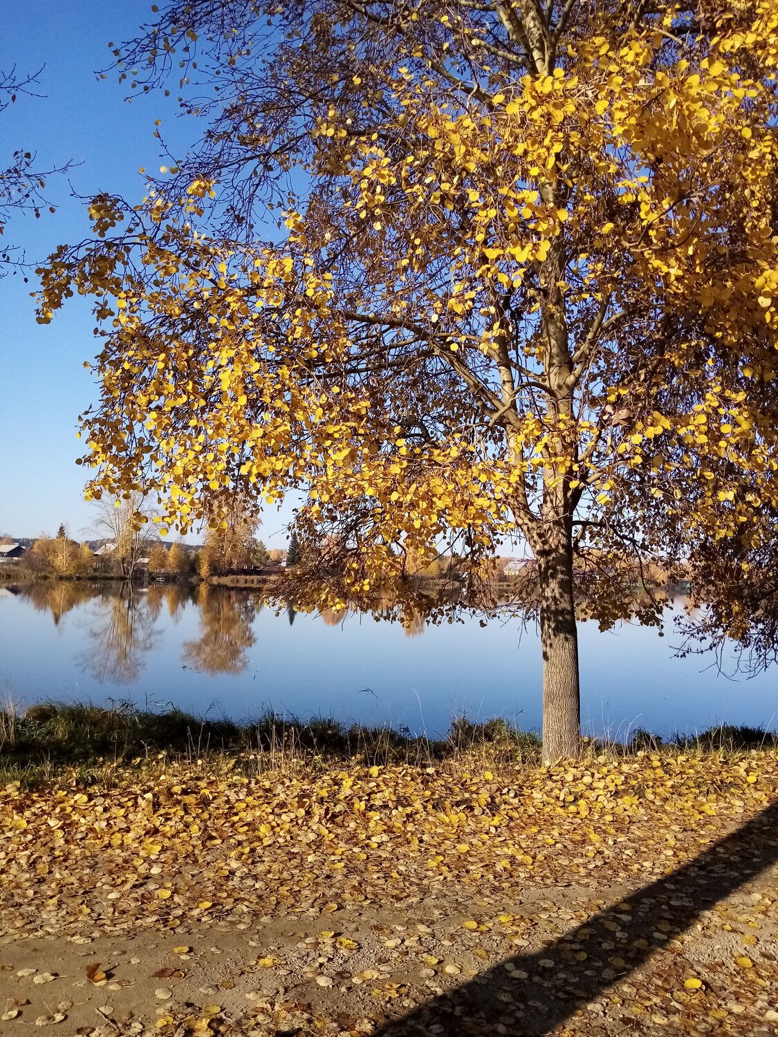 Золотая осень