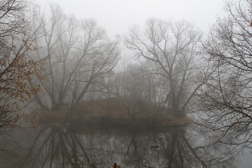 Photograph by Алфия Бугакова