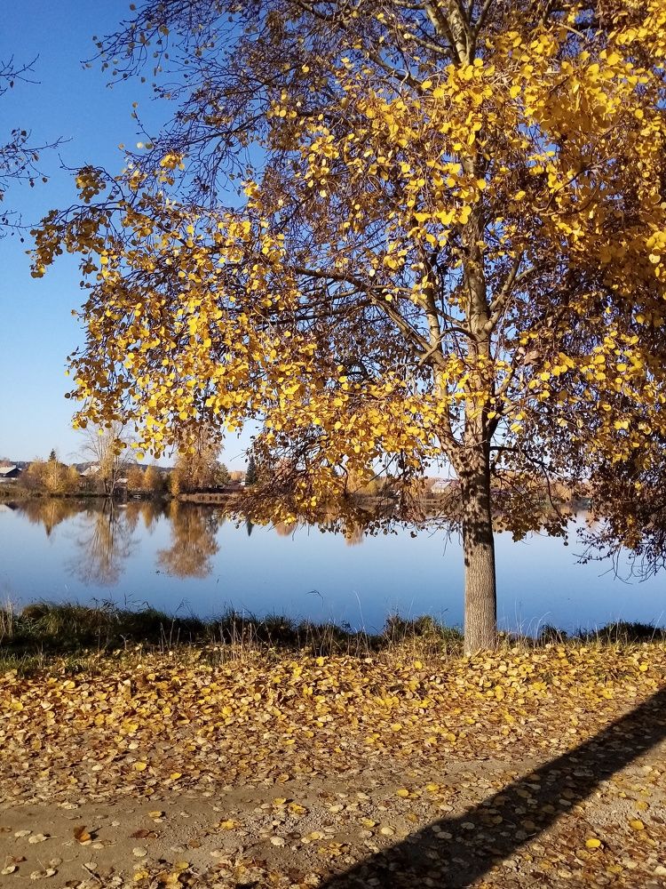 Photo #6704995