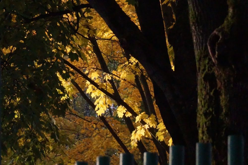 Photograph by Алфия Бугакова