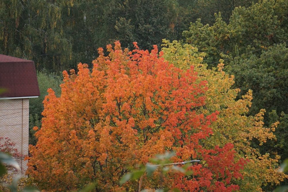 Photograph by Алфия Бугакова