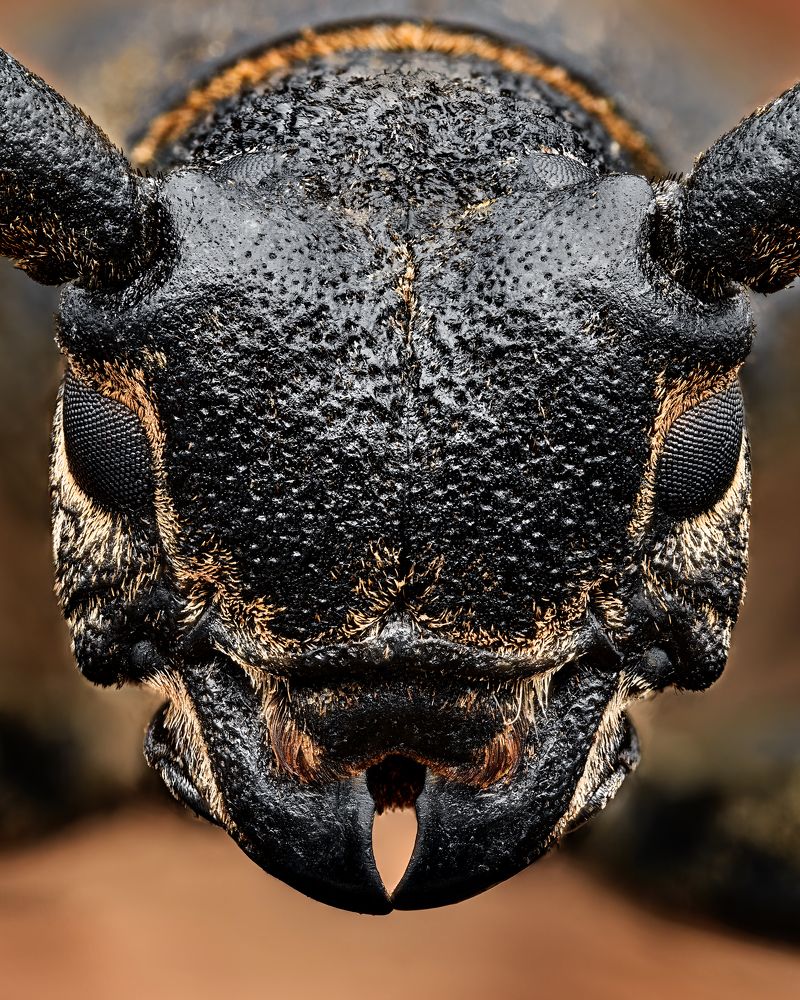 Photograph by Роман Фадеев