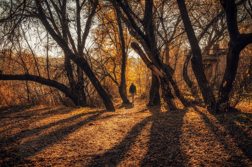 Photograph by Игорь Мелекесцев