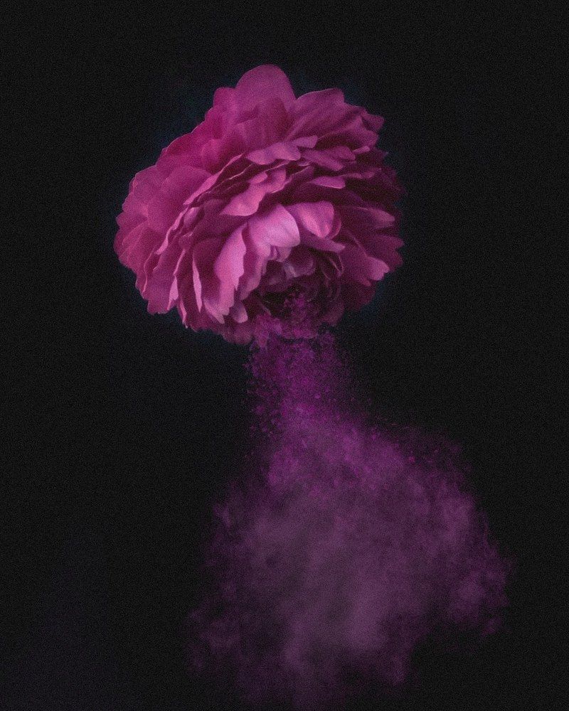 Photograph by Люда Яковлева