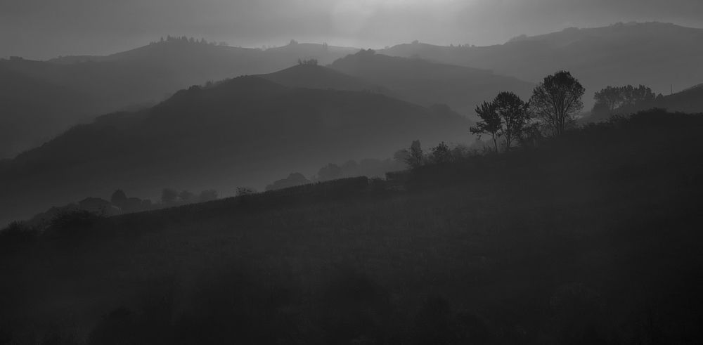 Photograph by Вячеслав