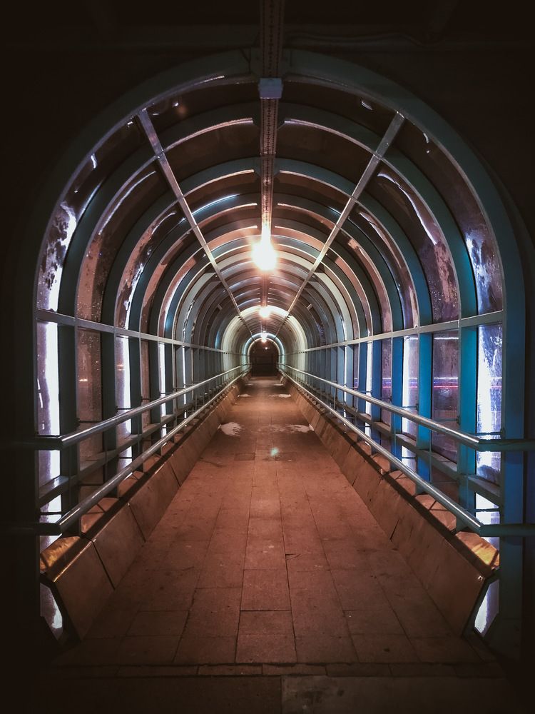 Photograph by Николаева Светлана