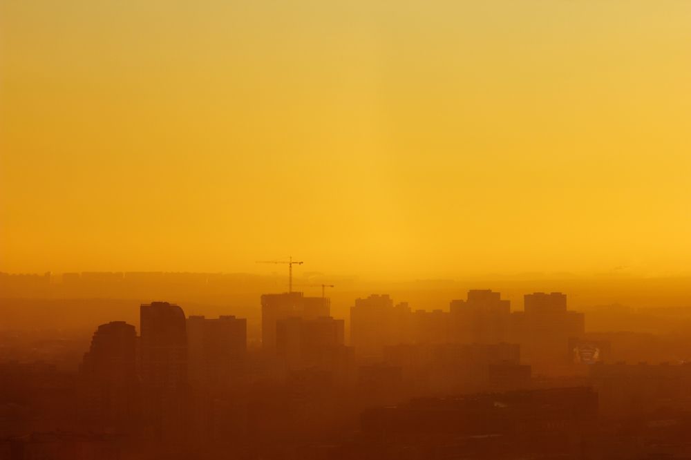 Photograph by Алиса Грюнвальд